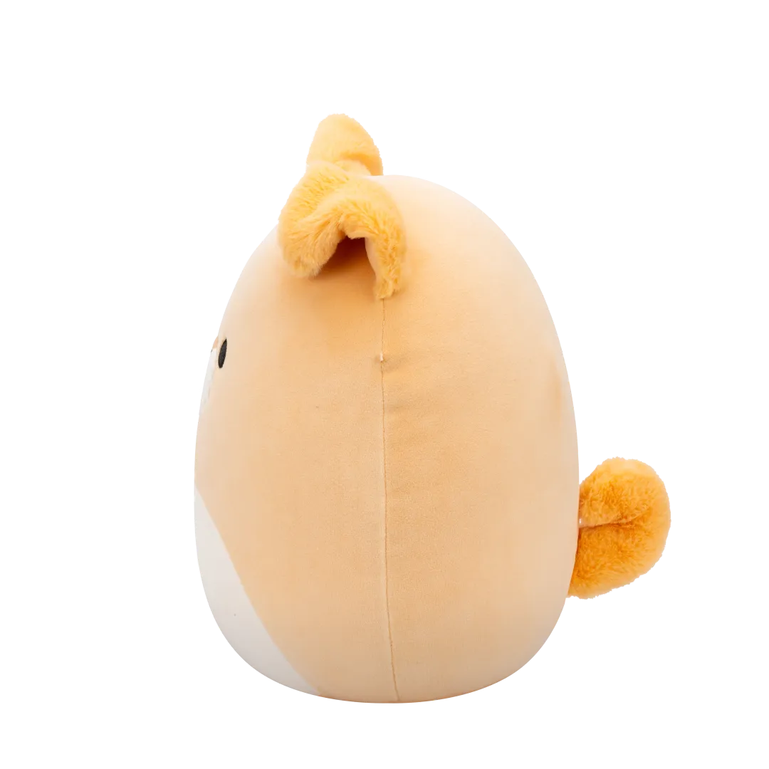 Image du produit 4